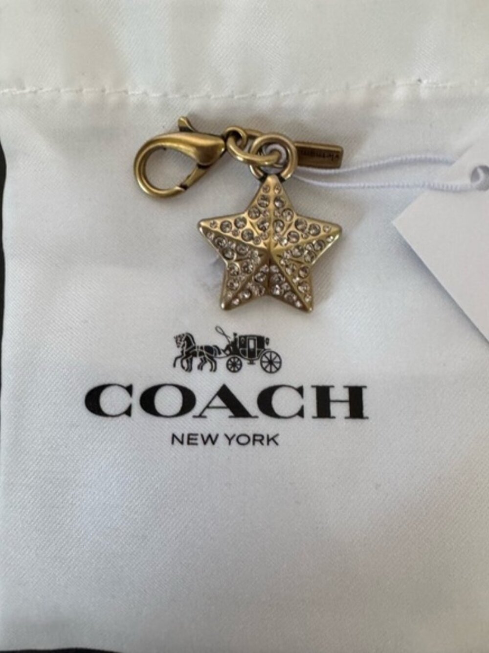 Coach Crystal Star Charm with Coach Tag and Coach Mini-Dustbag Multiple Uses